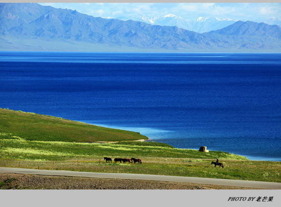 �����½�֮����ľ��-��������