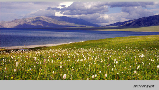 �����½�֮����ľ��-��������