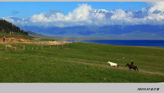 �����½�֮����ľ��-��������