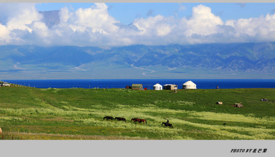 �����½�֮����ľ��-��������