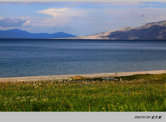 �����½�֮����ľ��-��������