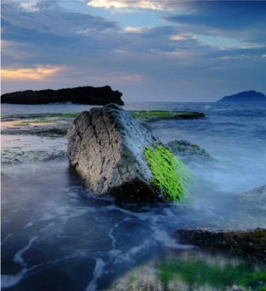 ̨���������-������Ӱ