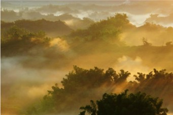 ̨���������-������Ӱ