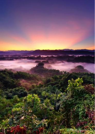 ̨���������-������Ӱ