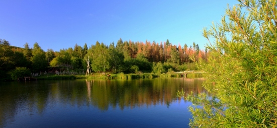 ���µİ���-��������