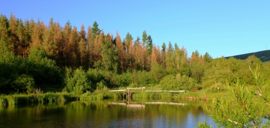 ���µİ���-��������