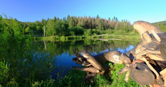 ���µİ���-��������