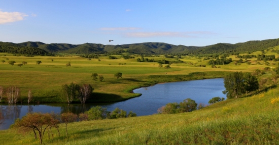 ���µİ���-��������