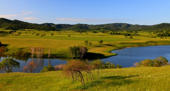 ���µİ���-��������