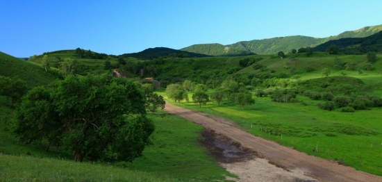 ���µİ���-��������