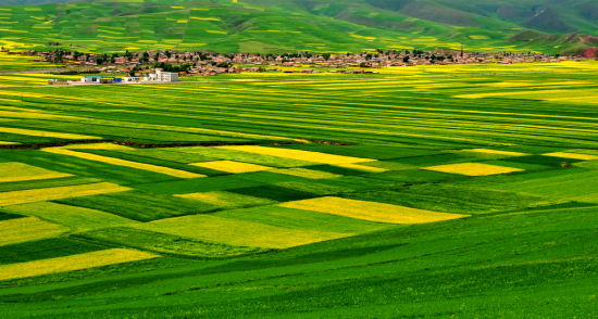 ��ɫ��Դ �����ຣ-��������