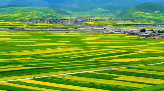 ��ɫ��Դ �����ຣ-��������