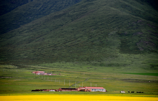 ��ɫ��Դ �����ຣ-��������