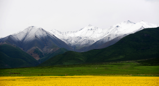 ��ɫ��Դ �����ຣ-��������