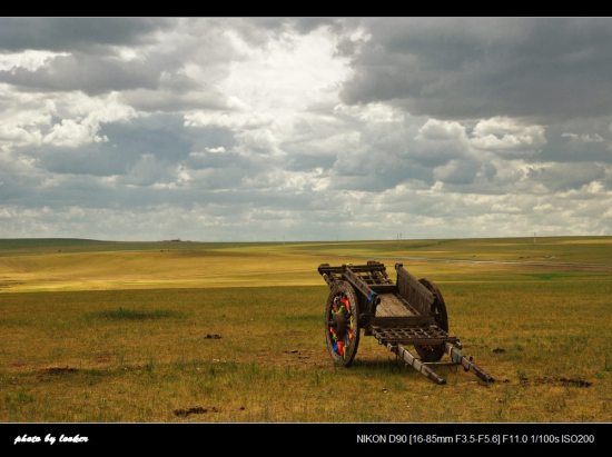 ���ױ�����-��������