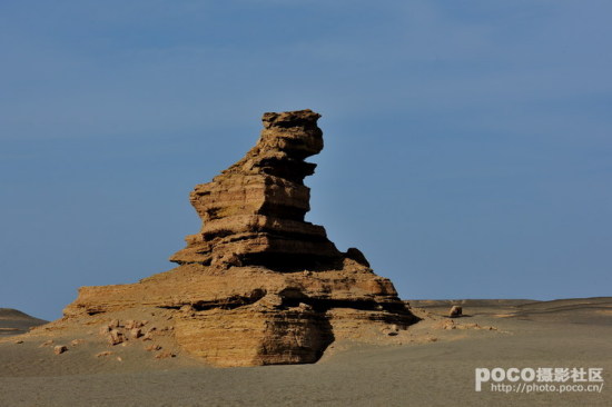 �ػ��ŵ����-��������