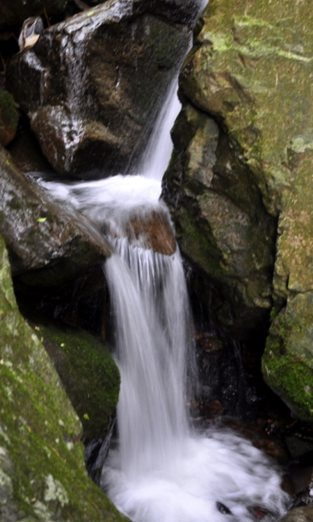 �㽭���������ٲ�-��Ȼ�羰