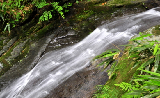 �㽭���������ٲ�-��Ȼ�羰