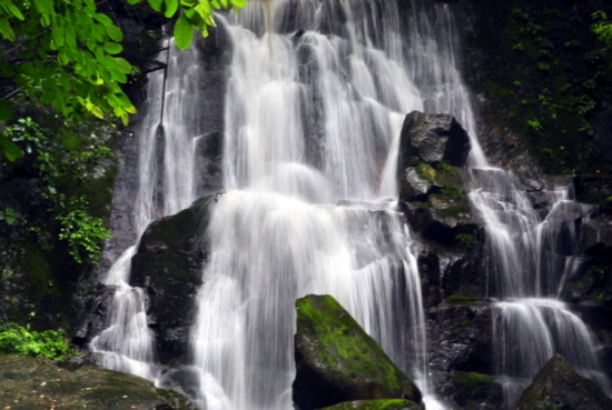 �㽭���������ٲ�-��Ȼ�羰