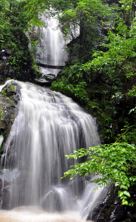 �㽭���������ٲ�-��Ȼ�羰