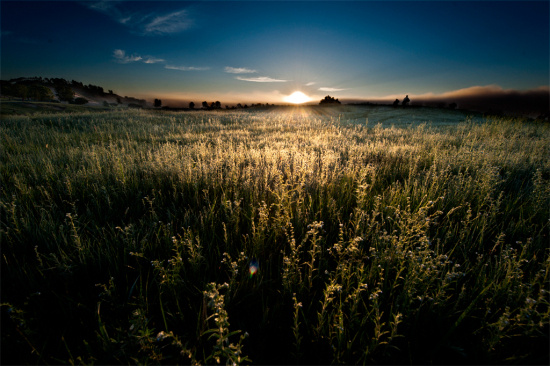 �������Ϸ��-��������