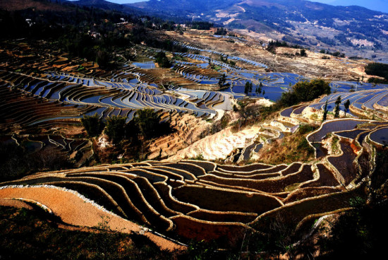 ����Ԫ������-���ϵ���