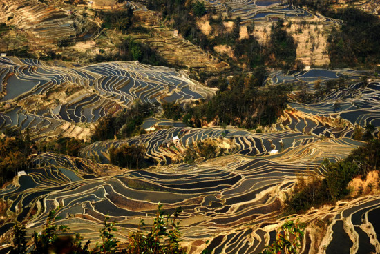 ����Ԫ������-���ϵ���