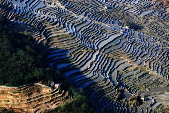 ����Ԫ������-���ϵ���