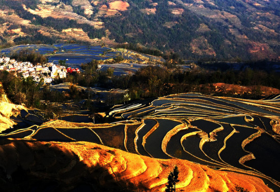 ����Ԫ������-���ϵ���