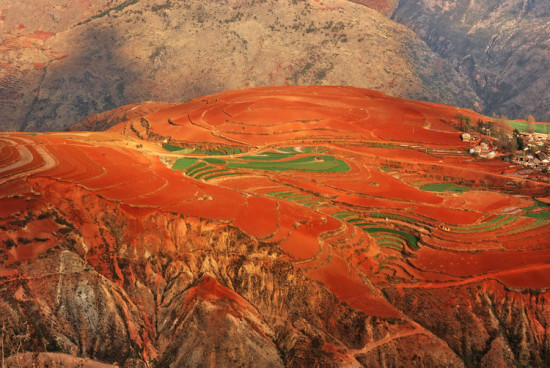 ���϶���������<span class=lxw>[ע: ��� �������ϵĹ������������ֲ���һ���ڵ��ظ��¶����·������ɵĺ�ɫ�������к����� �ص� �����������������ɷֽ϶࣬�л����٣�]</span>-���ϵ���