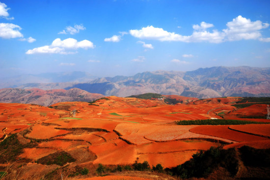 ���϶���������-���ϵ���