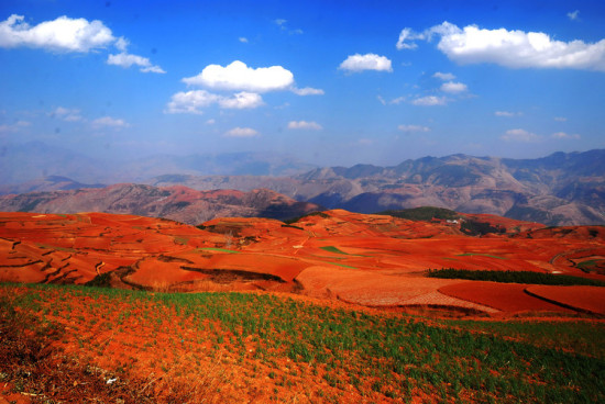 ���϶���������-���ϵ���