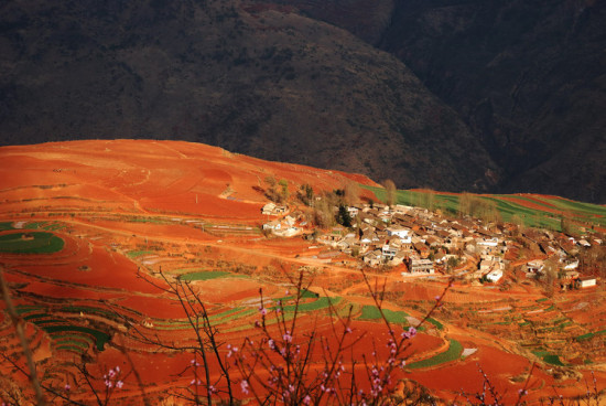 ���϶���������-���ϵ���