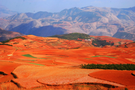 ���϶���������-���ϵ���