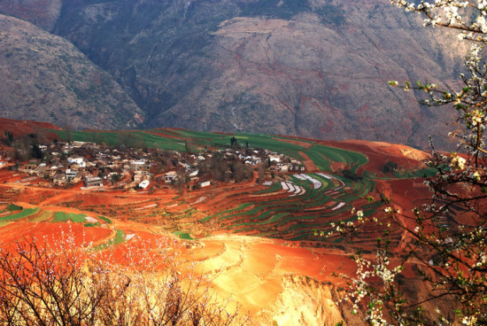 ���϶���������-���ϵ���