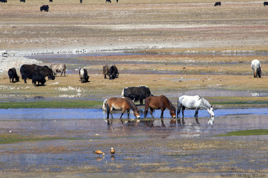 ��г��԰��ʥ������<span class=lxw>[ע: ����������λ���л����񹲺͹����ϱ����ظ�ԭ�����ϲ�������78��25����99��06�䣬��γ26��44����36��32��֮�䡣]</span>-���ϵ���