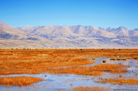 ��г��԰��ʥ������-���ϵ���