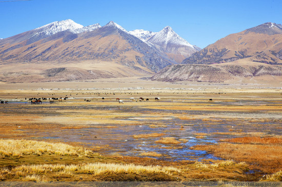 ��г��԰��ʥ������-���ϵ���