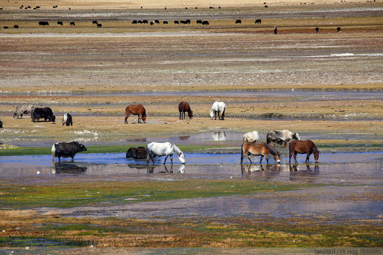 ��г��԰��ʥ������-���ϵ���