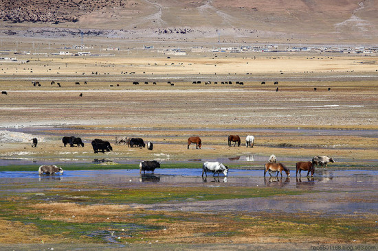 ��г��԰��ʥ������-���ϵ���