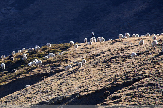 ��г��԰��ʥ������-���ϵ���