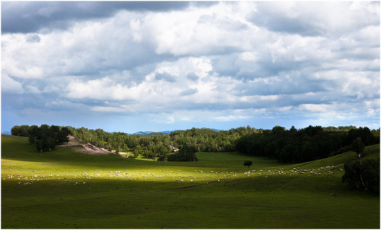 �������ա����������ӹ�ս��-��������