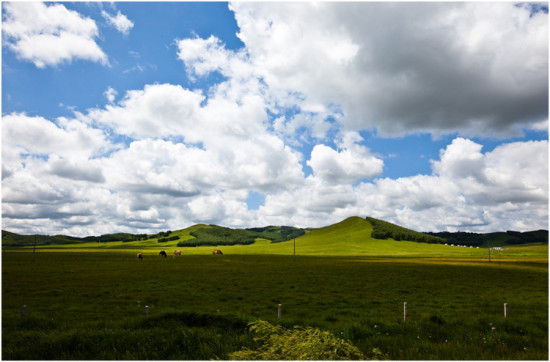 �������ա����������ӹ�ս��-��������