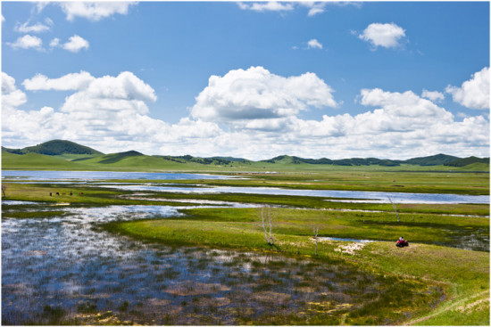 �������ա����������ӹ�ս��-��������