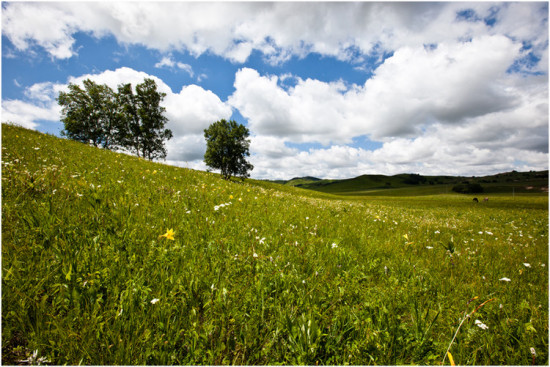 �������ա����������ӹ�ս��-��������