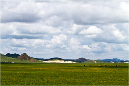 �������ա����������ӹ�ս��-��������