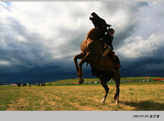 �����½�֮���ղ�ԭ-��������