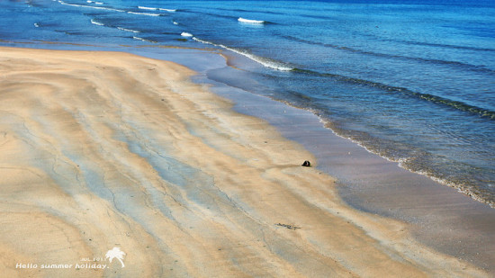 ��Ө��͸����֧��-��Ȼ�羰