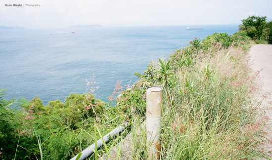 �����굺-��Ȼ�羰