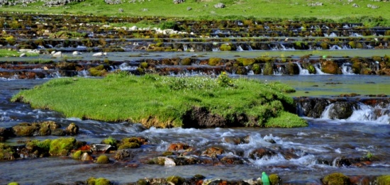 �����ٲ���-��Ȼ�羰